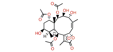 Briarenol H